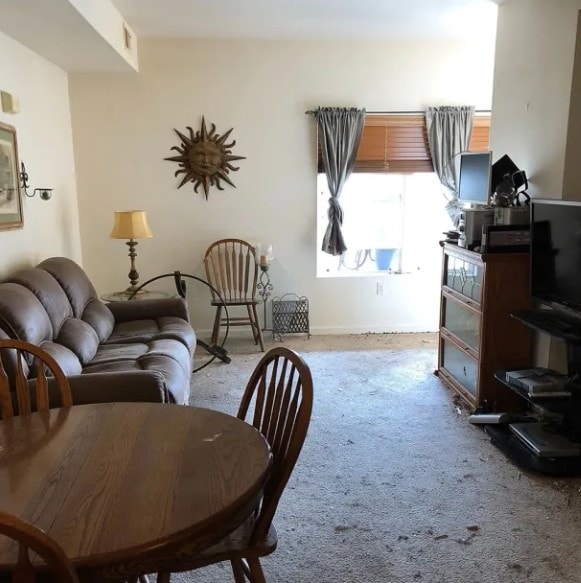 Living room after hoarding cleanout — fully cleared, furniture visible, livable space