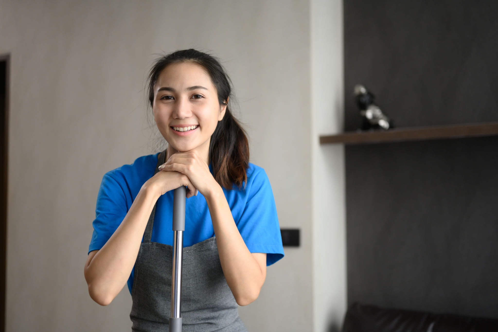 Friendly MaidsDMV cleaner ready to help